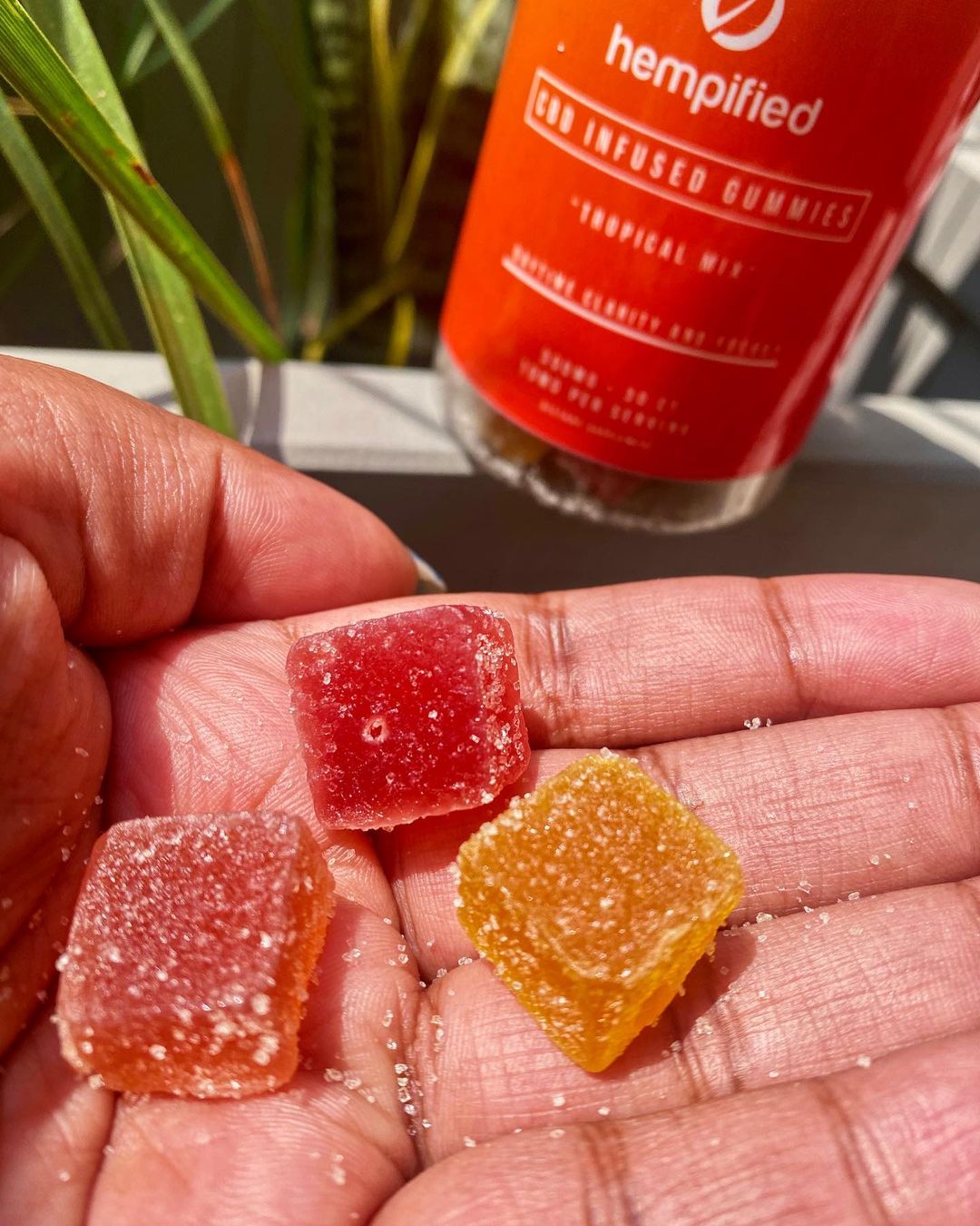 CBD Gummies – hempified